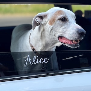 Rachel added a photo of their purchase