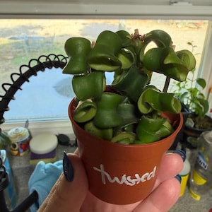 Katie added a photo of their purchase