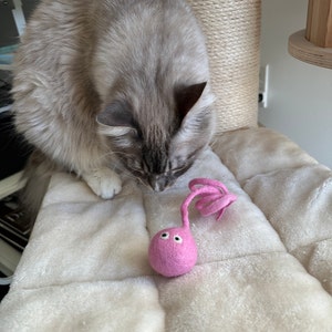 Mary added a photo of their purchase