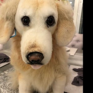barbara added a photo of their purchase