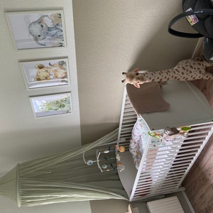 Josephine added a photo of their purchase