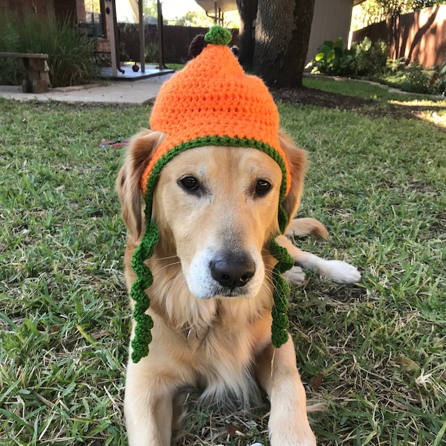 Pumpkin Dog Hat/halloween Dog Hat/thanksgiving Dog 