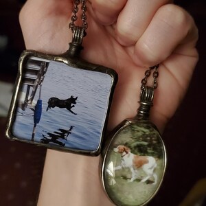 Canine added a photo of their purchase