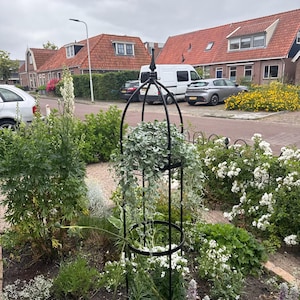 janetta heeft een foto van de aankoop toegevoegd