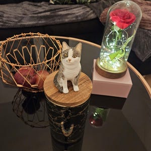 Sandra added a photo of their purchase