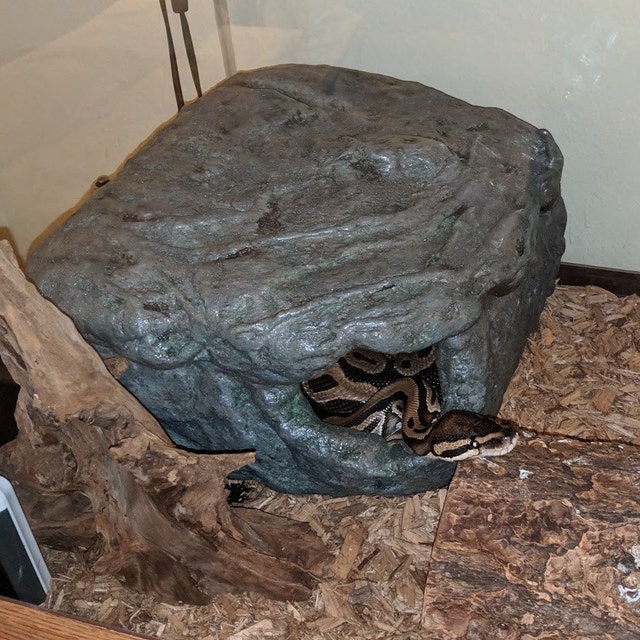 XL Custom Reptile Hide Realistic stone habitat removable Etsy