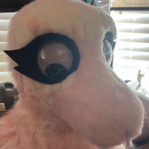 Zerø added a photo of their purchase