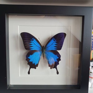 Stephanie ha añadido una foto de su compra