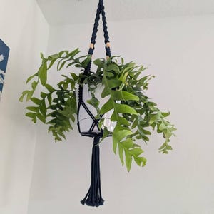 Kathy added a photo of their purchase