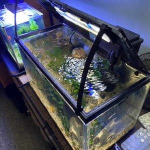 Michael added a photo of their purchase