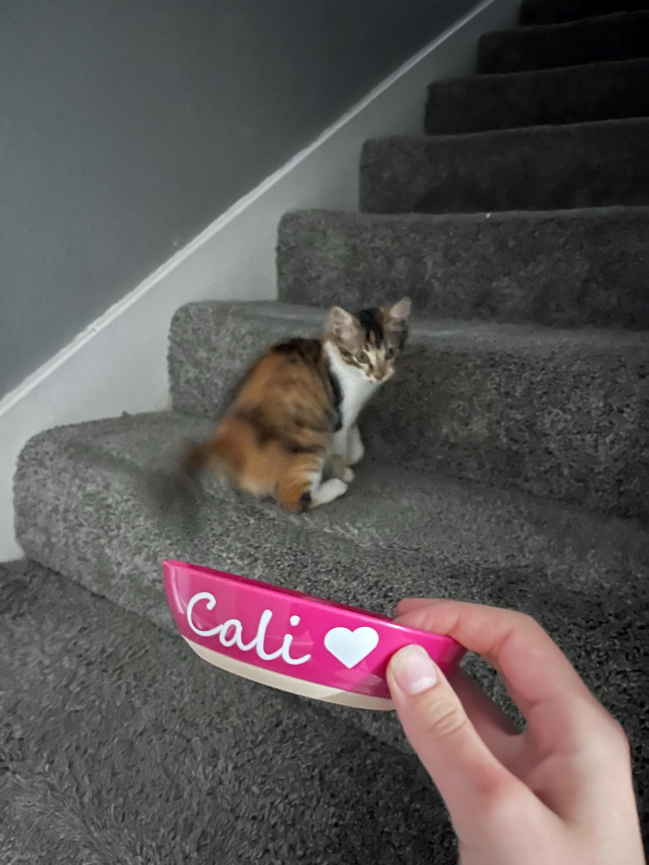 Personalisierter Katzennapf, individueller Katzennapf, rutschfester Katzennapf, individueller Haustiernapf