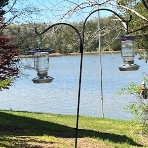 Sandra added a photo of their purchase