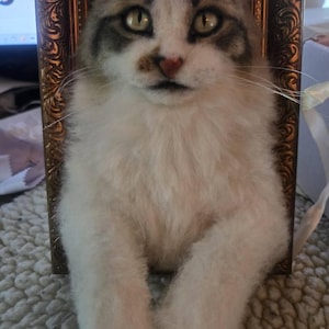 Amy added a photo of their purchase