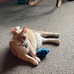 Etsy buyer added a photo of their purchase