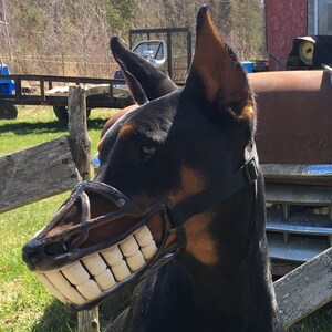 iris puppy pen