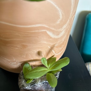 Cherie added a photo of their purchase