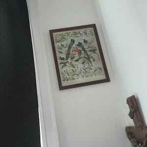 Joey heeft een foto van de aankoop toegevoegd