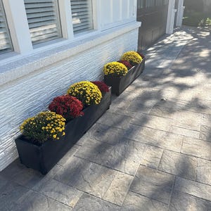 Pawel added a photo of their purchase