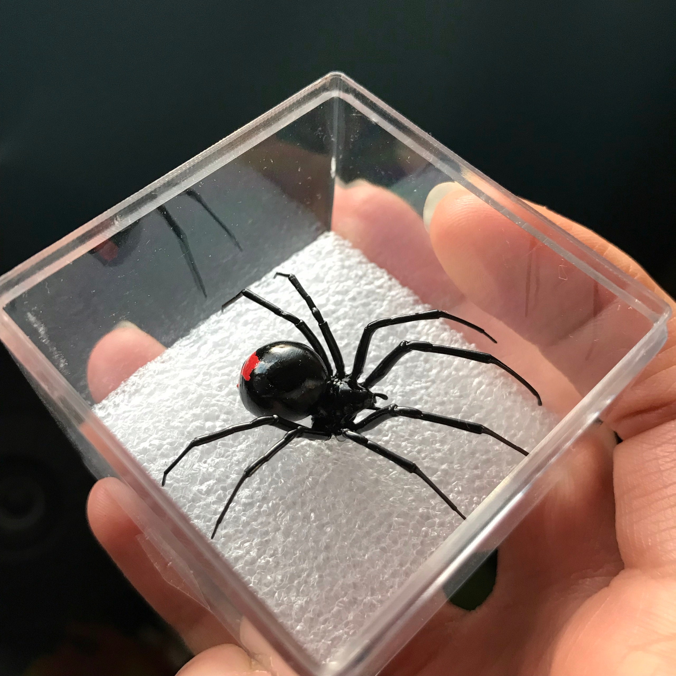Plastic Black Widow Spider As An Earring, Realistic Latrodectus Hesperus, 1 pcs