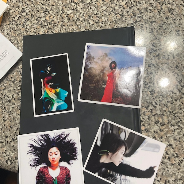 Lady Gaga Album Covers Vinyl Sticker Pack | 36 Waterproof Gaga Stickers ...