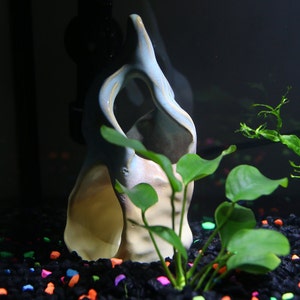 Small Reptile Hide Ceramic Tank Decor Aquarium Rock Cave Etsy