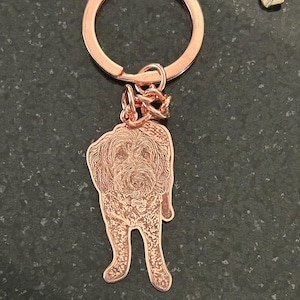 Lindsey added a photo of their purchase