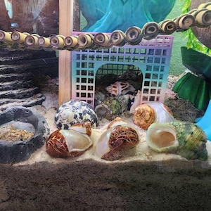 Nancy added a photo of their purchase