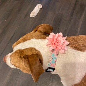 dena added a photo of their purchase
