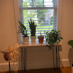 Jen added a photo of their purchase