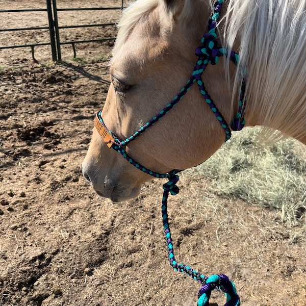 Weaver, 10' Turquoise/Gray Braided Rope Halter With Lead - Wilco Farm