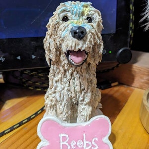 Cyndy added a photo of their purchase