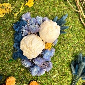 Brody a ajouté une photo de son achat