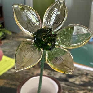 Kay added a photo of their purchase