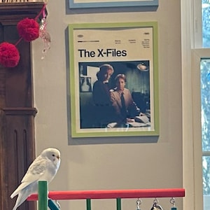 Alexandra added a photo of their purchase