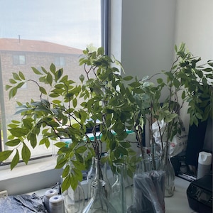 McKenna added a photo of their purchase