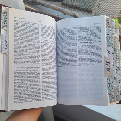 SPANISH Scandal of Grace Peel and Stick Bible Tabs With Adhesive and