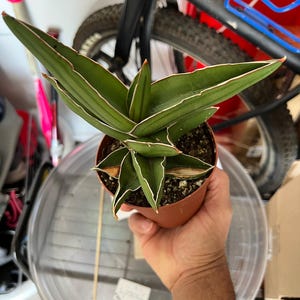 Marlon added a photo of their purchase