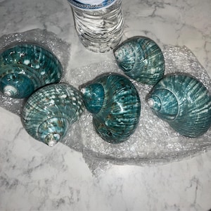 Stephanie added a photo of their purchase