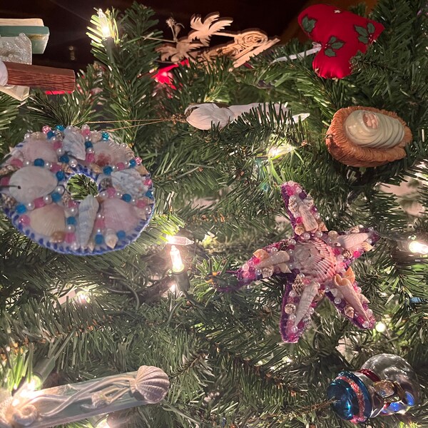 Conch Shell on Beach Oil Painting - Etsy