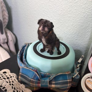 Gina heeft een foto van de aankoop toegevoegd