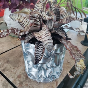 Christopher added a photo of their purchase
