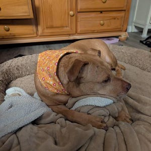 Amanda added a photo of their purchase
