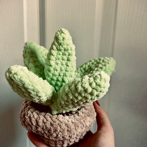 Shalena added a photo of their purchase