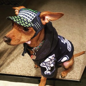 Dog Hat Seahawks Sports Fabric - Etsy