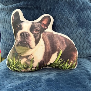 Lisa added a photo of their purchase