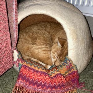 Jenny added a photo of their purchase