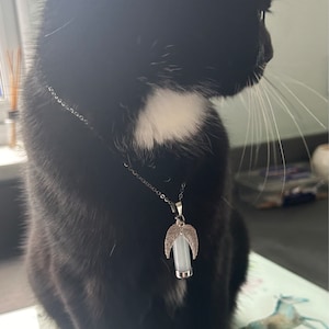 Tiger hat ein Foto des gekauften Artikels hinzugefügt