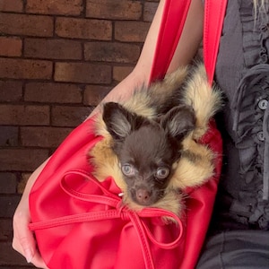 Angel added a photo of their purchase