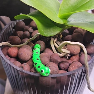 Cassidy added a photo of their purchase