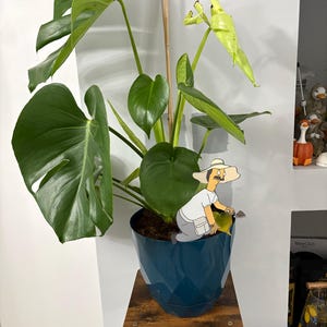 Shannon added a photo of their purchase